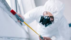 Best Commercial Pest Control  in West Frankfort, IL